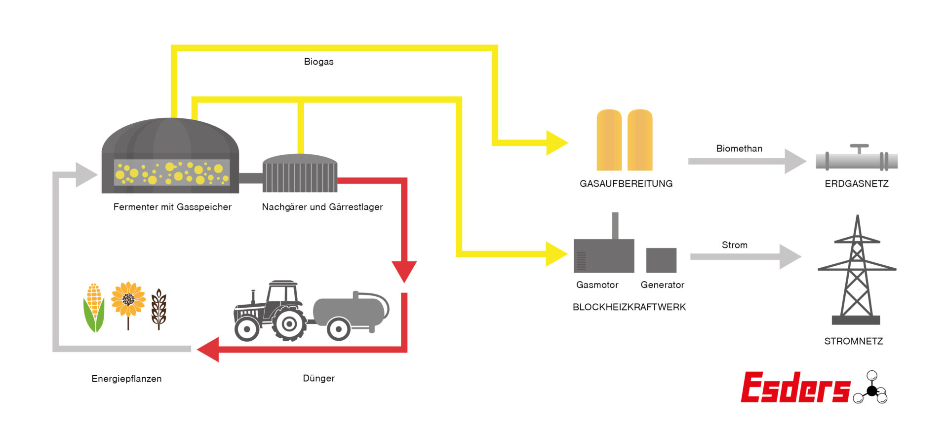 Grafik-Biogasanlage-Aufbau