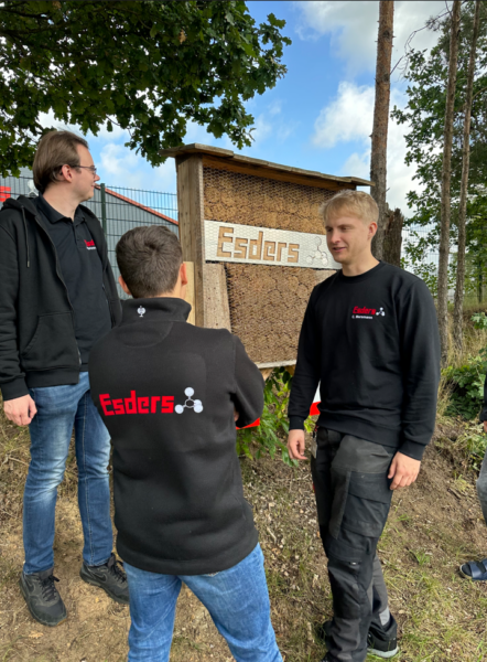 Azubis beim Wildbienenhotel