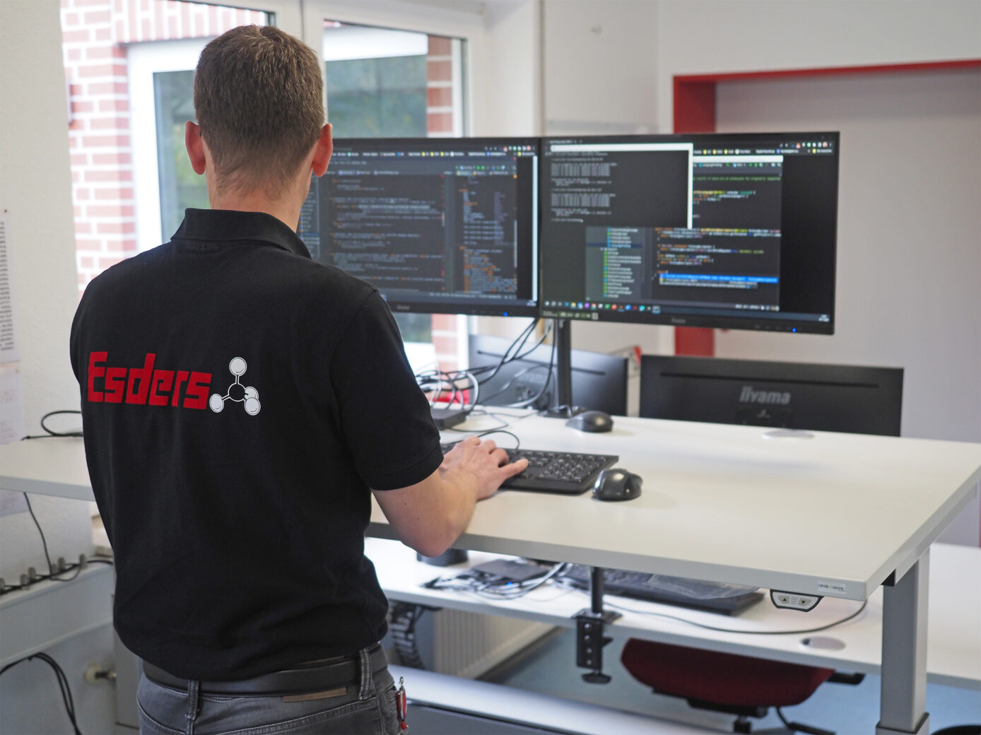 Entwickler programmiert OEM Software